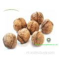 De laagste prijs Walnut Kernels Light Quarters